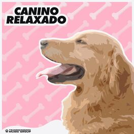 Album cover of Canino Relaxado