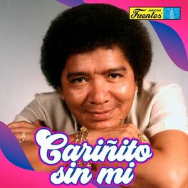 Album cover of Cariñito Sin Mí (Versión Turreo)