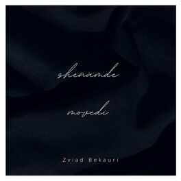 Album cover of Shenamde Movedi (Zviad Bekauri Remix)