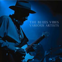Album cover of The Blues Vibes