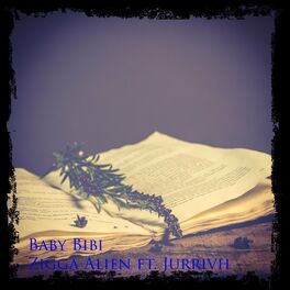 Album cover of Baby Bibi