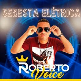Album cover of Seresta Elétrica