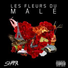 Album cover of Les Fleurs Du Mâle