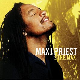 Album cover of 2 The Max