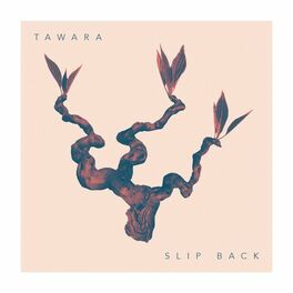Album cover of Slip Back