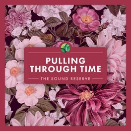 Album cover of Pulling Through Time