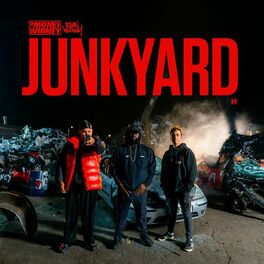 Album cover of Junkyard