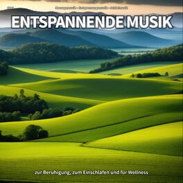 Album cover of #001 Entspannende Musik zur Beruhigung, zum Einschlafen und für Wellness