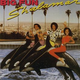 Album cover of Big Fun