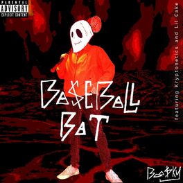 Album cover of BASEBALL BAT