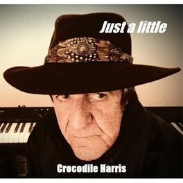 Album cover of Just a Little