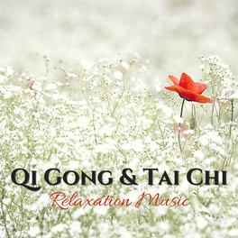 Tai Chi Stars Qi Gong Academy Qi Gong Tai Chi Relaxation Music Raise Vitality Levels And Relax Deeply With Instrumental Music Lyrics And Songs Deezer