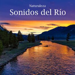 Album cover of Naturaleza: Sonidos del Rio