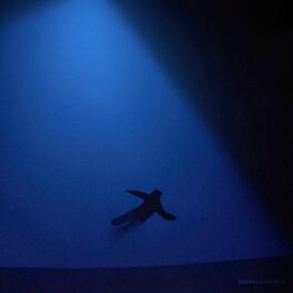 Album cover of SIMULATION