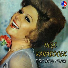 Album cover of Türk Sanat Müziği