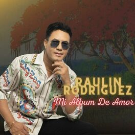 Album cover of Mi Album De Amor