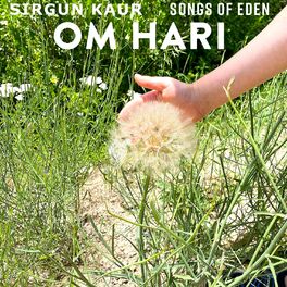 Album cover of Om Hari (feat. Porter Singer)