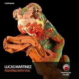 Album cover of Fighting with You