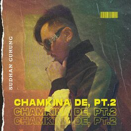Album cover of Chamkina De, Pt.2