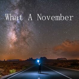 Album cover of What A November