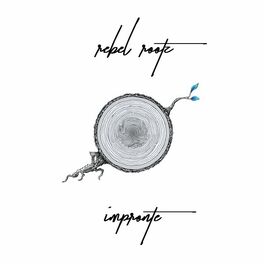 Album cover of Impronte