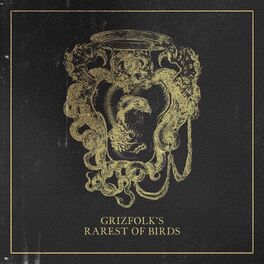 Album cover of Rarest of Birds