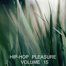 Album cover of Hip Hop Pleasure, Vol.15