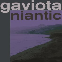 Album cover of Gaviota