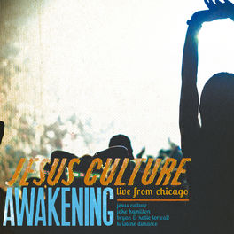 Album cover of Awakening - Live From Chicago