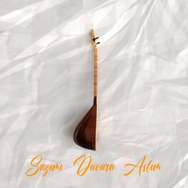 Album cover of Sazımı Duvara Astım