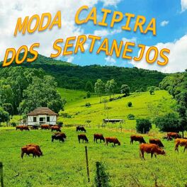 Album cover of Moda Caipira dos Sertanejos
