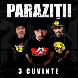 Album cover of 3 Cuvinte