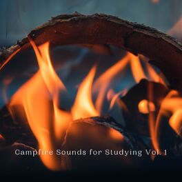 Album cover of Campfire Sounds for Studying Vol. 1