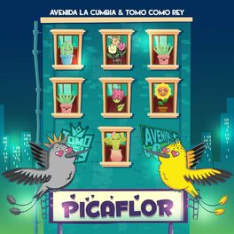 Album cover of Picaflor