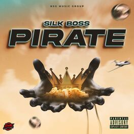 Album cover of Pirate