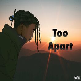 Album cover of Too Apart