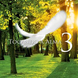 Album cover of Tocando a Alma, Vol. 3