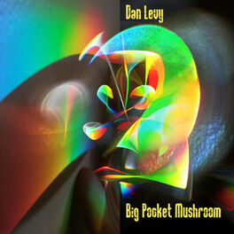 Album cover of Big Pocket Mushroom