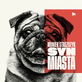 Album cover of Syn Miasta