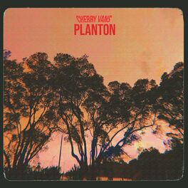 Album cover of Planton