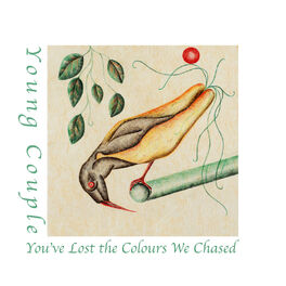 Album cover of You've Lost the Colours We Chased