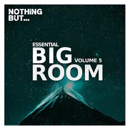 Album cover of Nothing But... Essential Big Room, Vol. 05