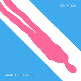 Album cover of Citymonk