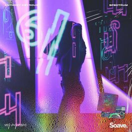 Album cover of Spectrum (Say My Name)