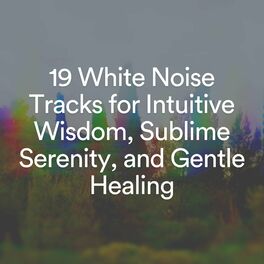 Album cover of 19 White Noise Tracks for Intuitive Wisdom, Sublime Serenity, and Gentle Healing