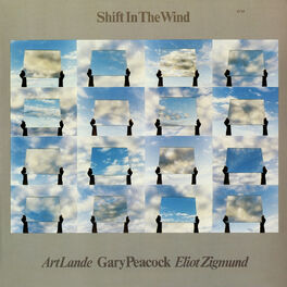 Album cover of Shift In The Wind