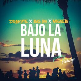 Album cover of Bajo la Luna (feat. Drakote, Big Lou & Miguelo) (feat. Miguelo, Drakote & Big Lou)
