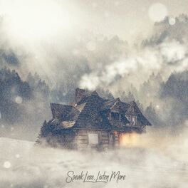Album cover of Snowlike