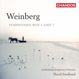 Album cover of Weinberg: Symphonies Nos. 1 & 7