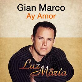 Album cover of Ay Amor (Luz María)